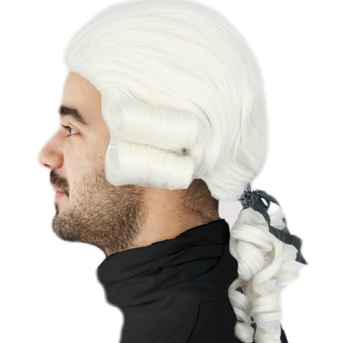 judge wig