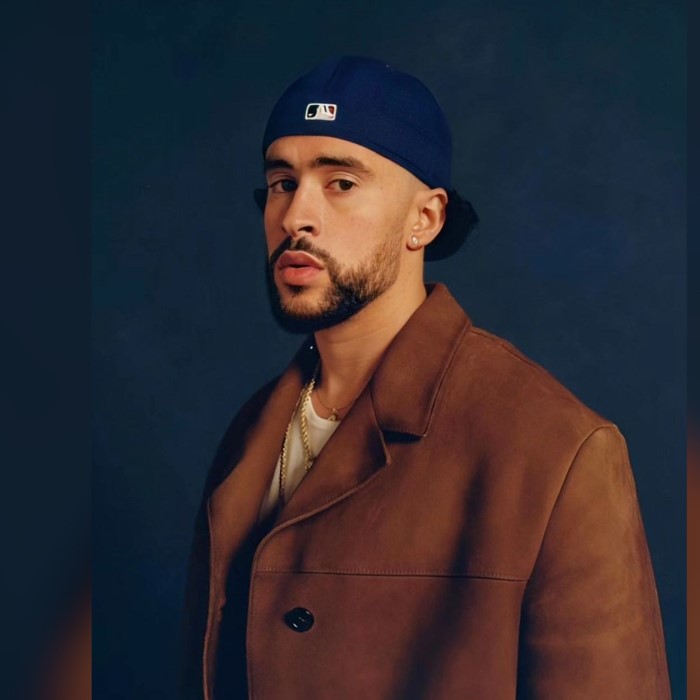 anuel aa wig