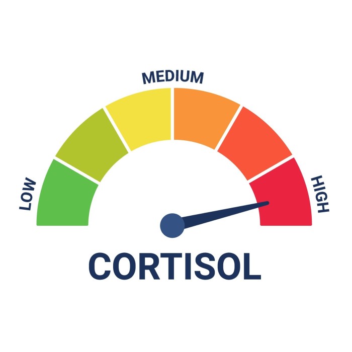does high cortisol cause hair loss