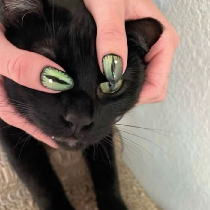 what is cat eye nail polish