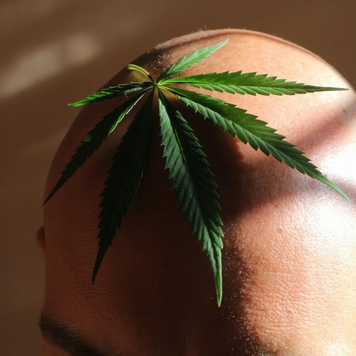 can weed cause hair loss