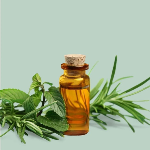 is rosemary good for skin