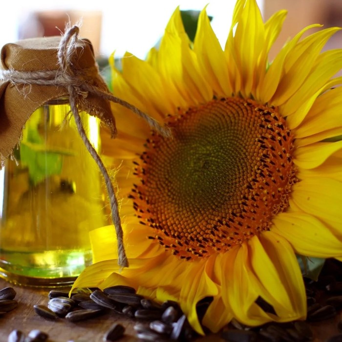 is sunflower oil good for your skin