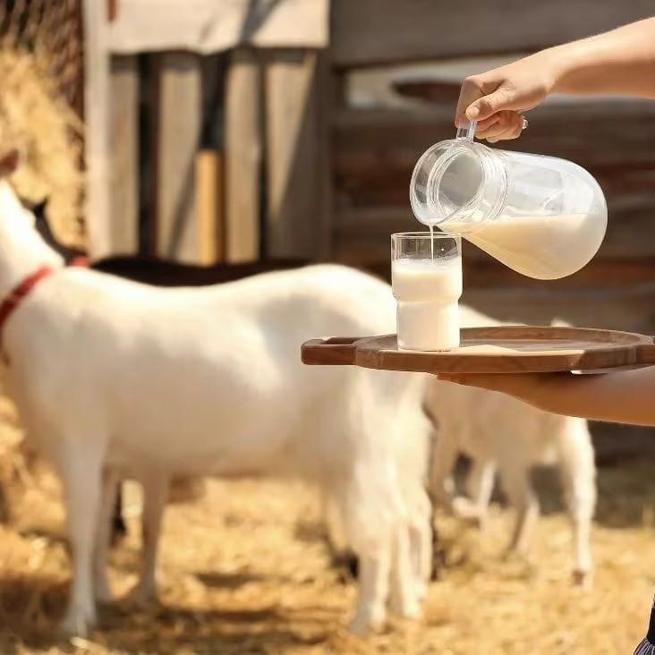 is goat milk good for your skin