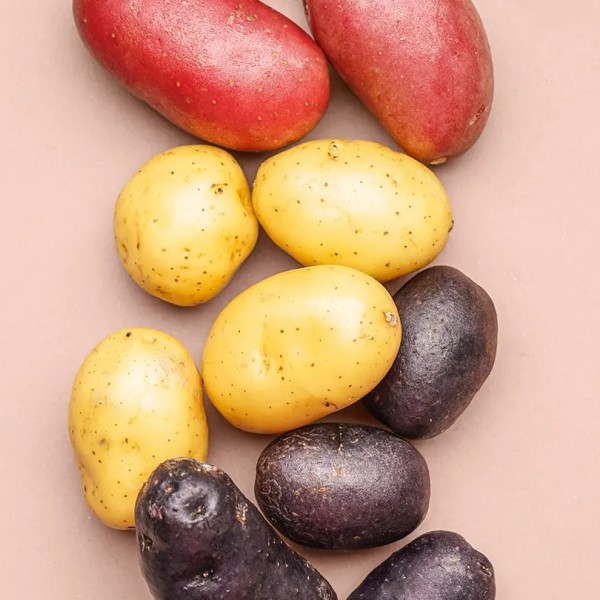 is potato skin good for you