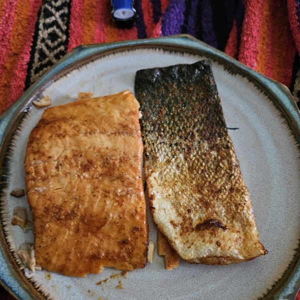is salmon skin good for you