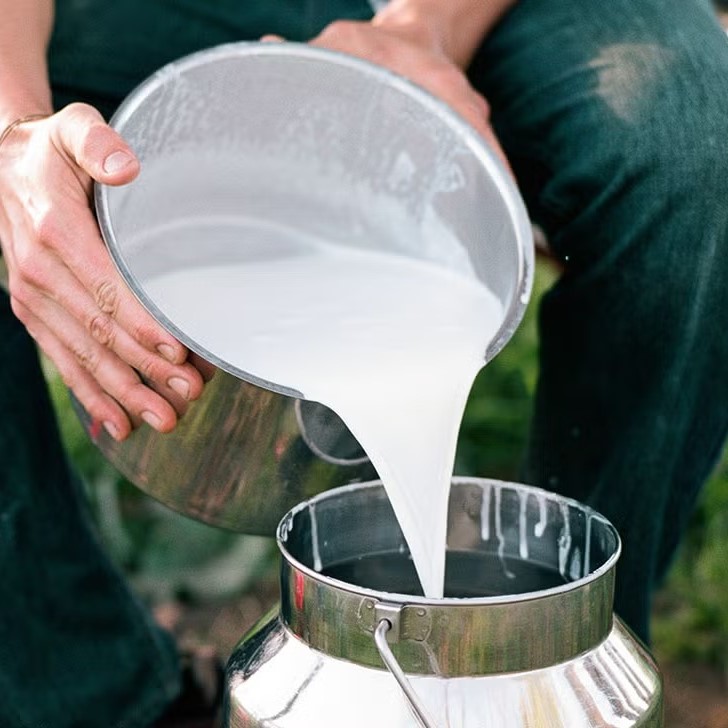 is goat milk good for your skin