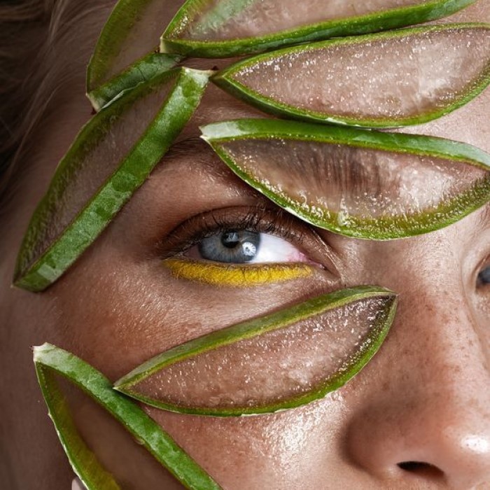 is aloe vera good for dry skin