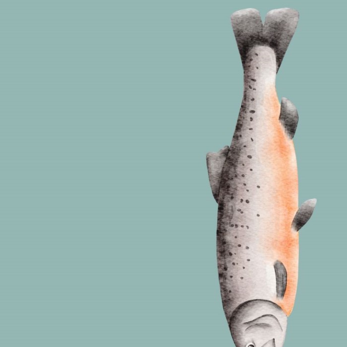 salmon sperm skin care