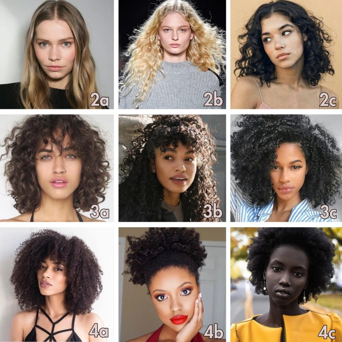 curly hair chart
